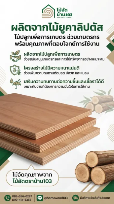 ไม้อัดยางไส้ไม้ยูคาลิปตัส HomeWood103 เนื้อแน่น สำหรับตีตู้ลำโพง