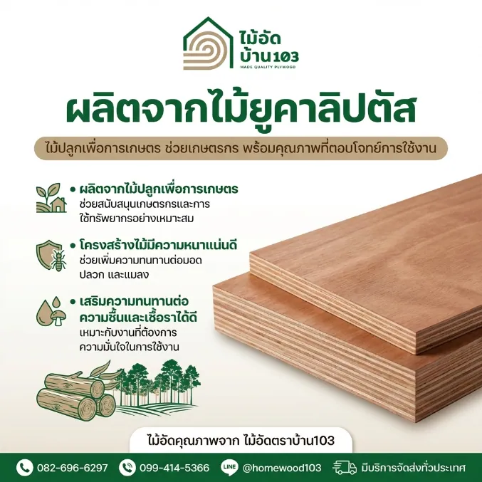 ไม้อัดตราบ้าน103 กาว E1 หนาเต็มมิลและไส้ไม้ยูคาแข็งแรง โครงสร้างไม้มีความแน่นดี